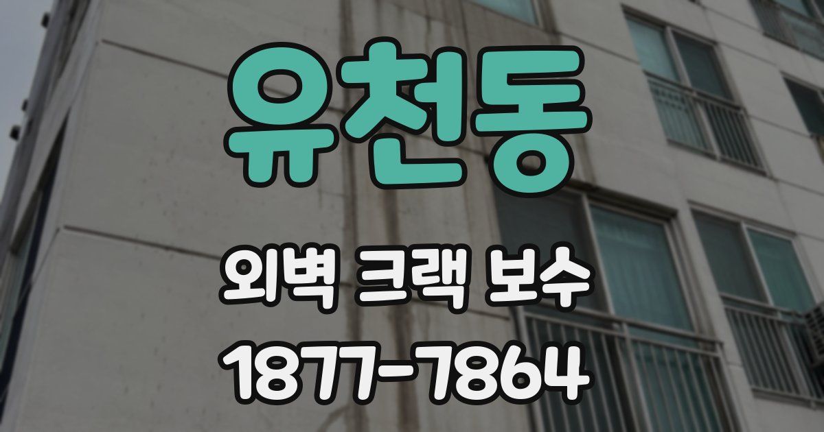 유천동 외벽 크랙 보수