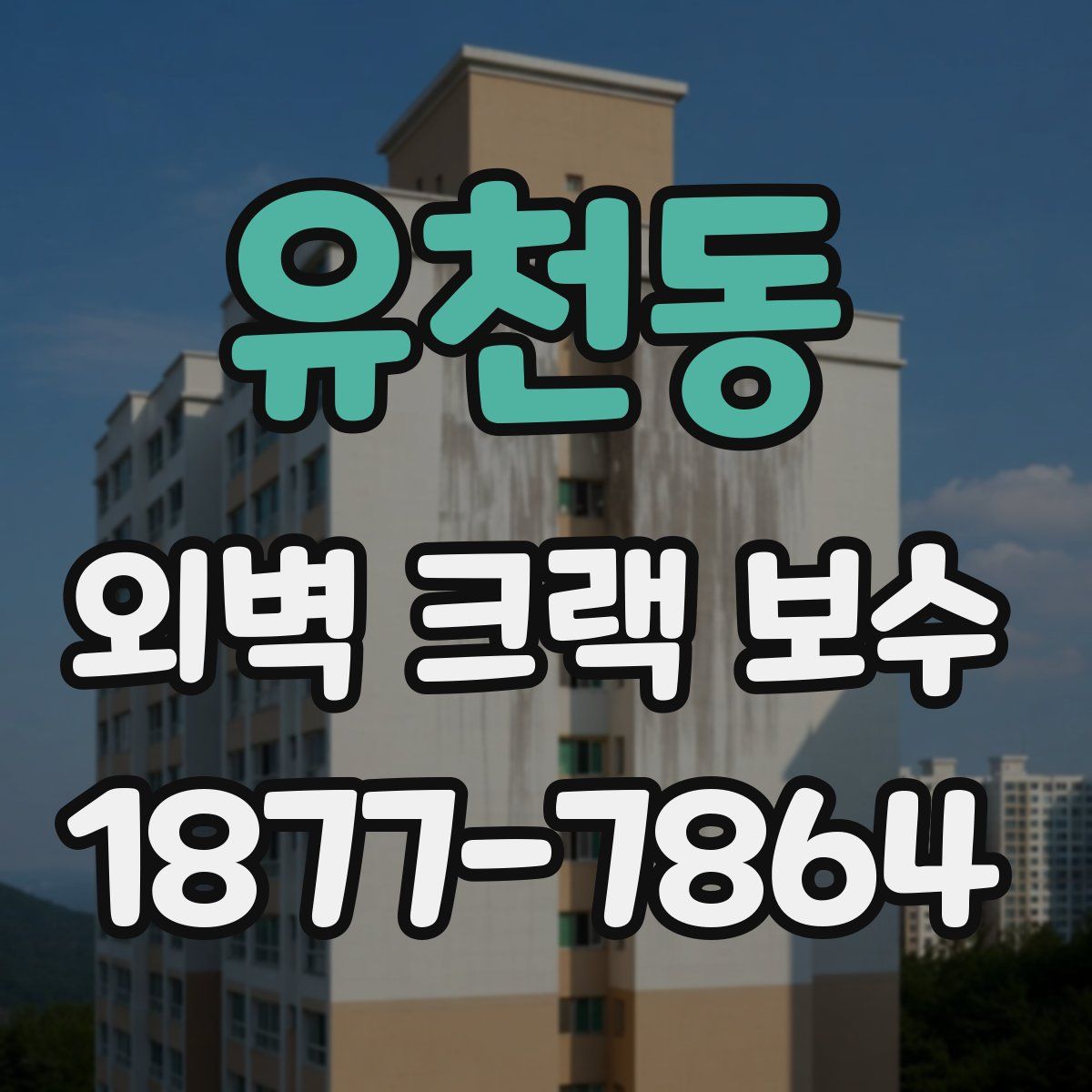 유천동 외벽 크랙 보수
