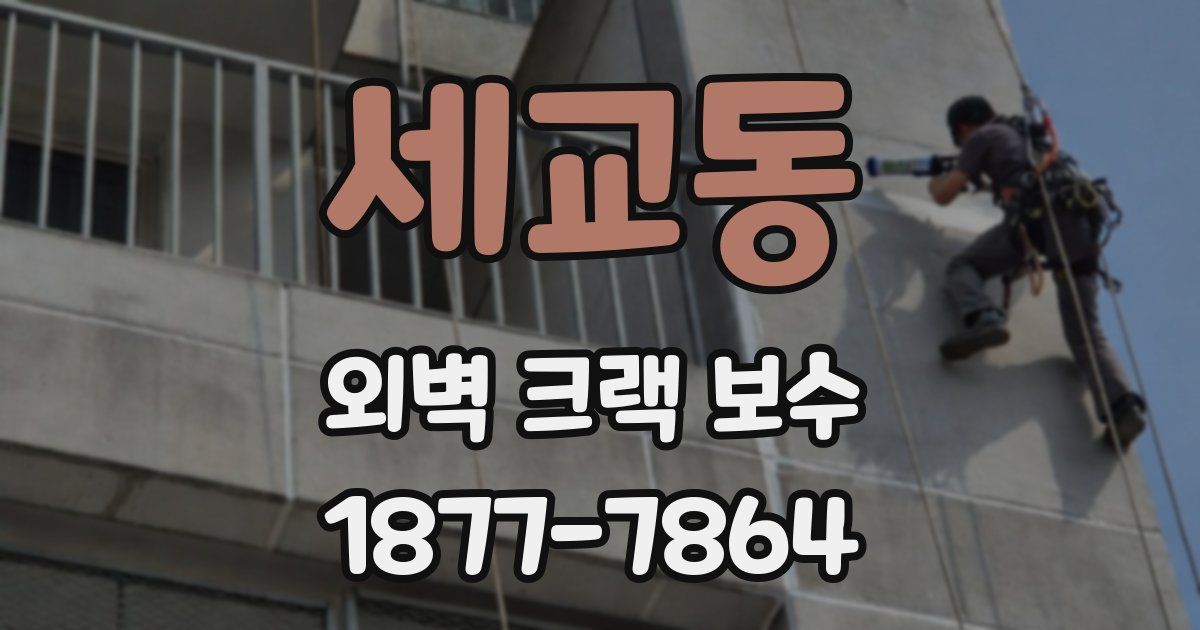 세교동 외벽 크랙 보수