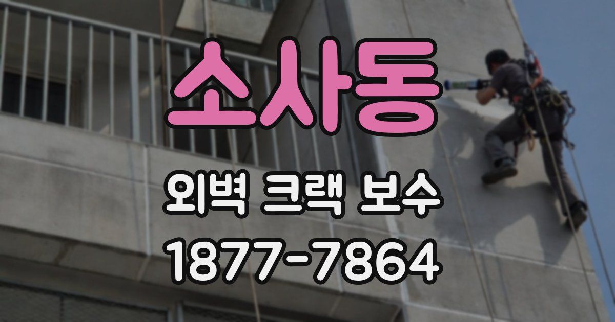 소사동 외벽 크랙 보수