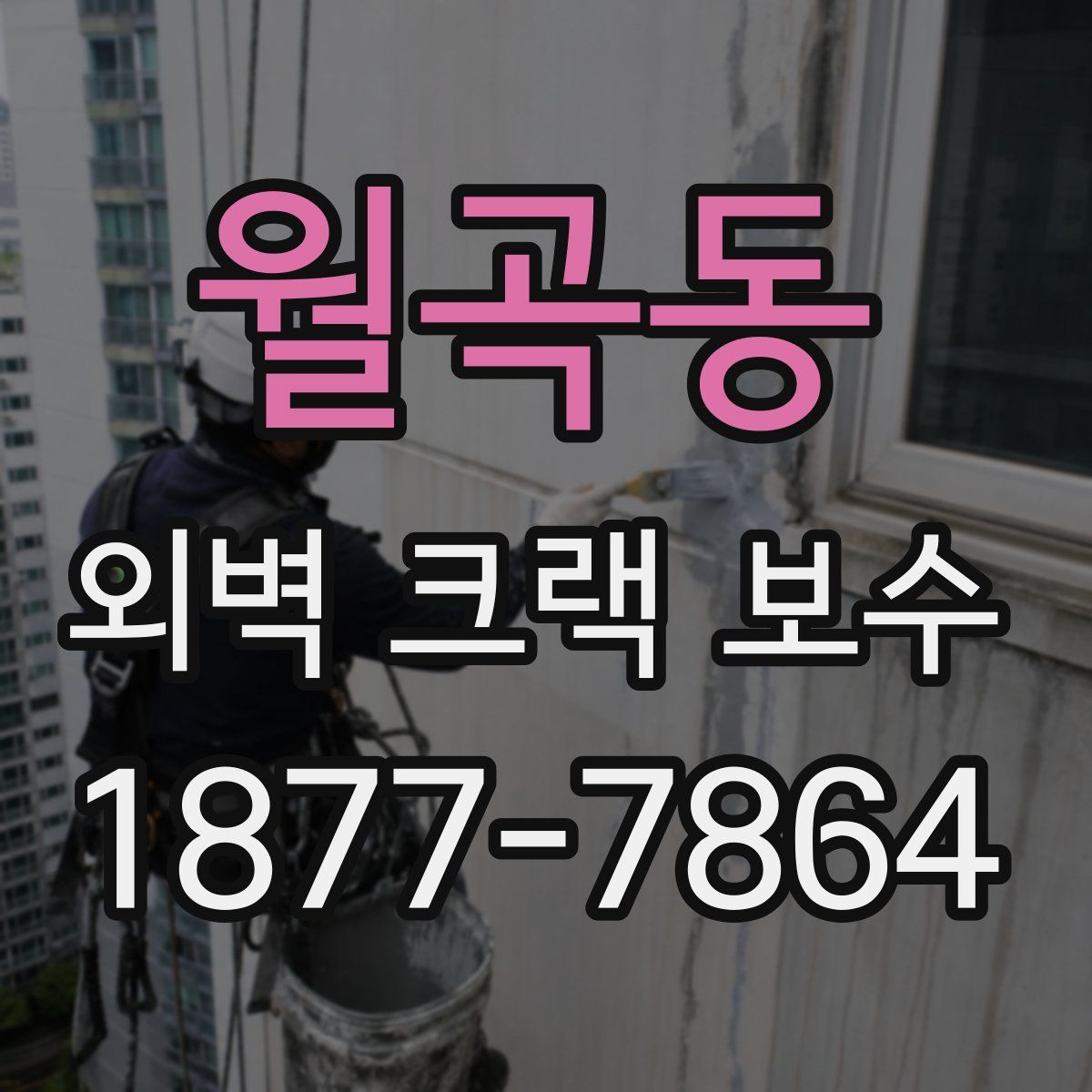 월곡동 외벽 크랙 보수