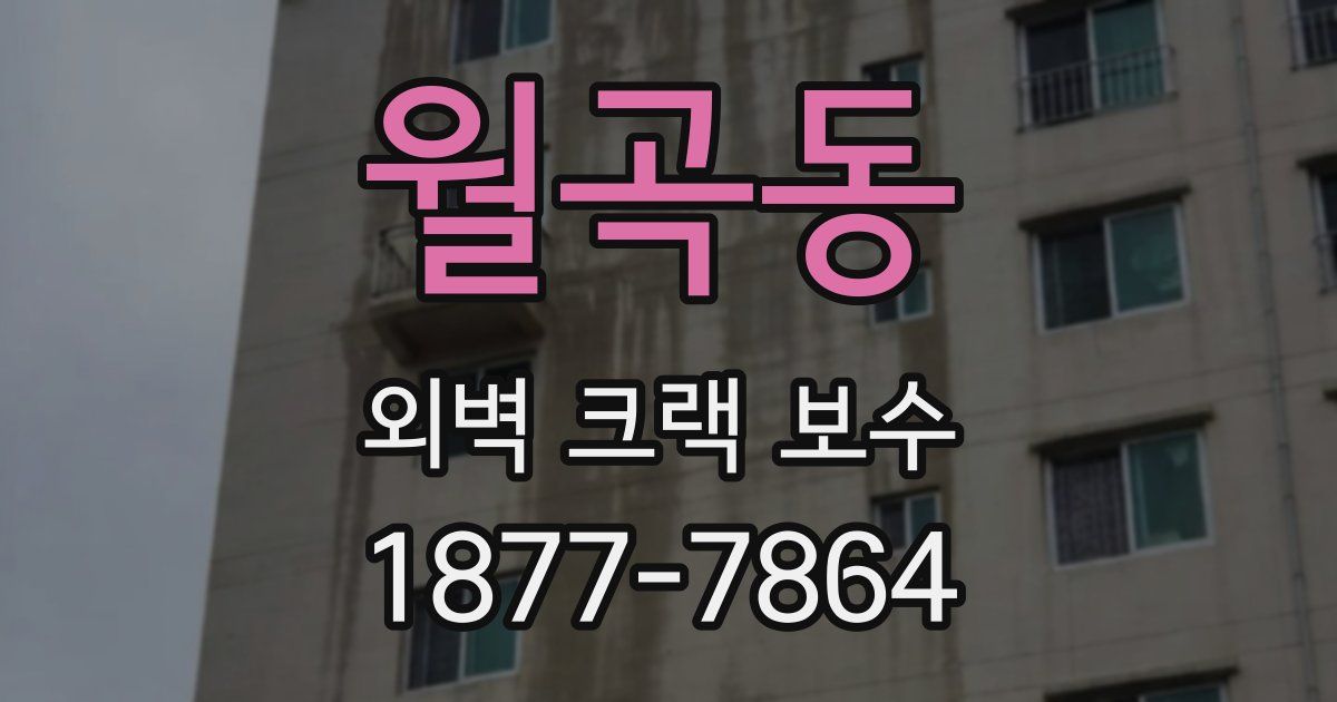 월곡동 외벽 크랙 보수