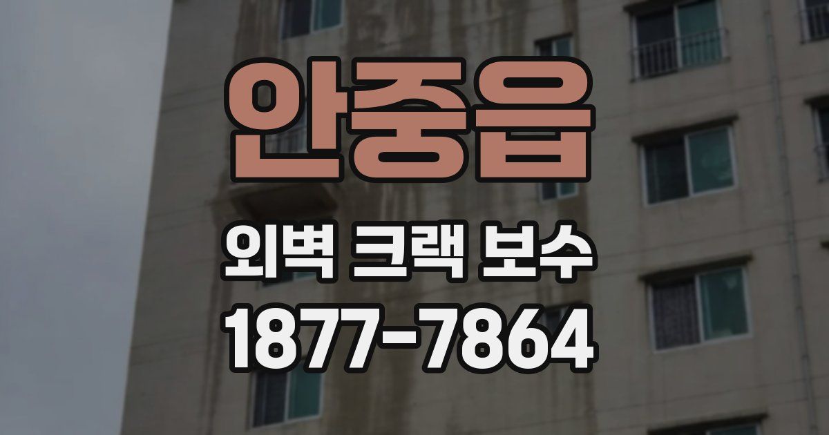 안중읍 외벽 크랙 보수