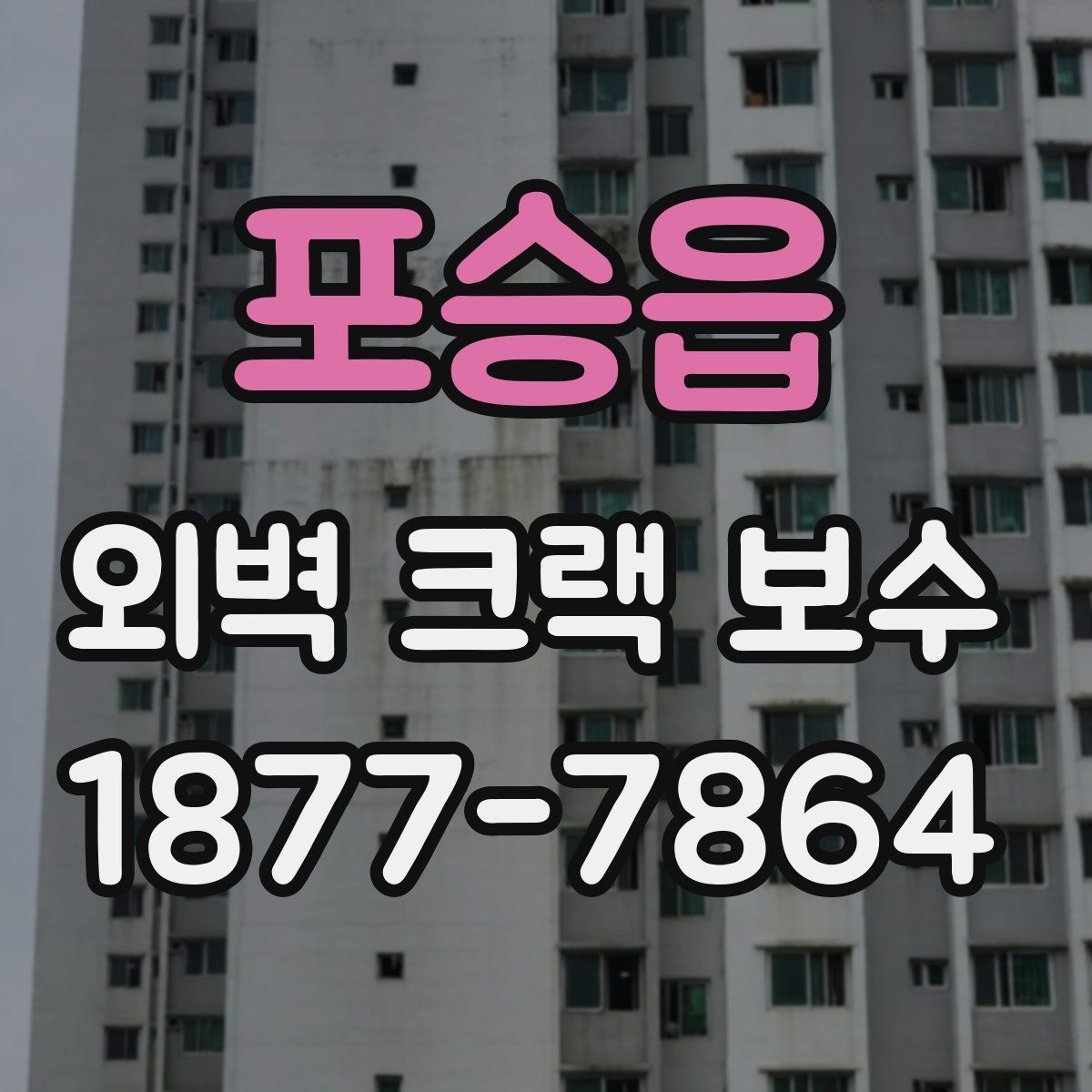 포승읍 외벽 크랙 보수