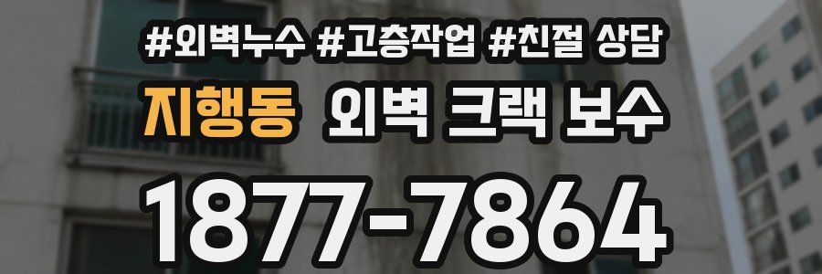 지행동 외벽 크랙 보수