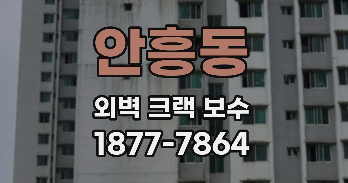 안흥동 외벽 크랙 보수