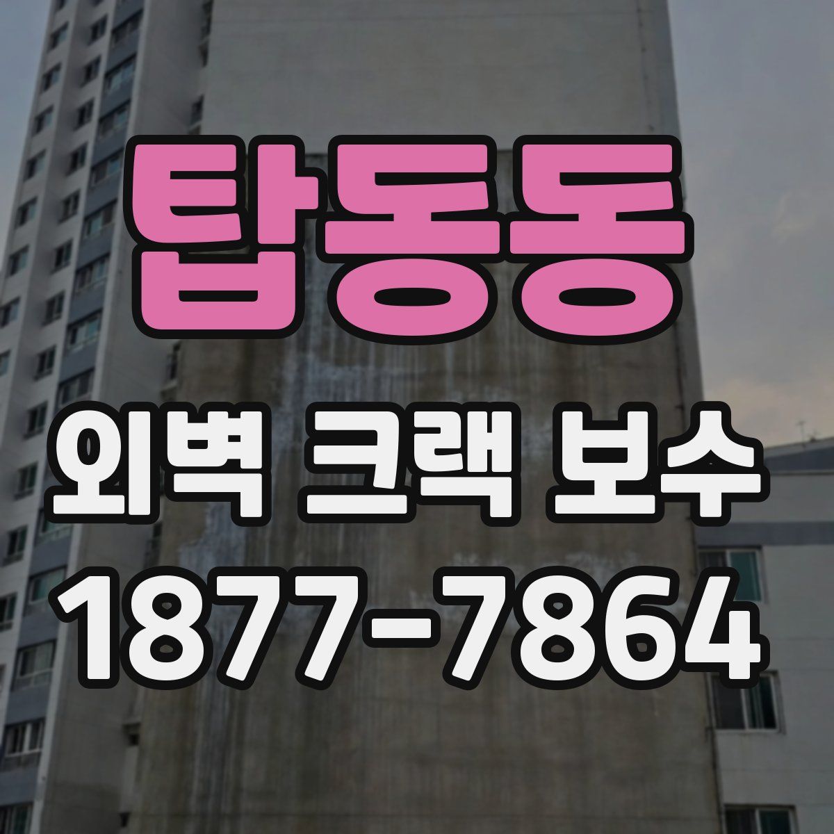 탑동동 외벽 크랙 보수