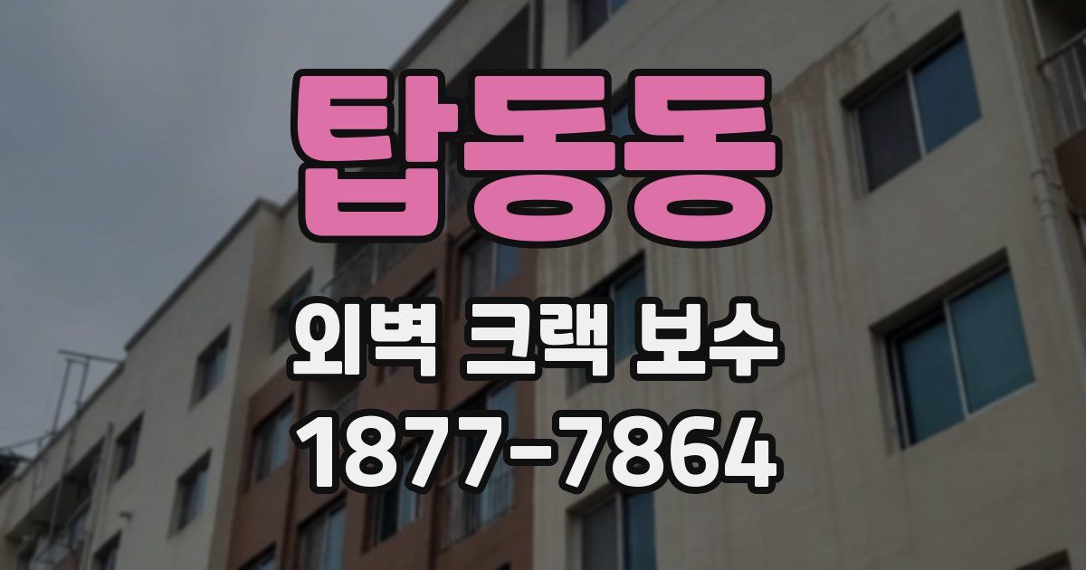 탑동동 외벽 크랙 보수