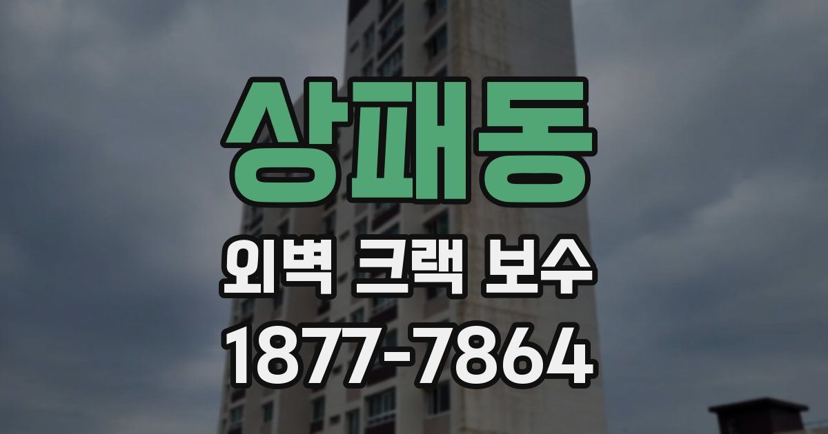 상패동 외벽 크랙 보수