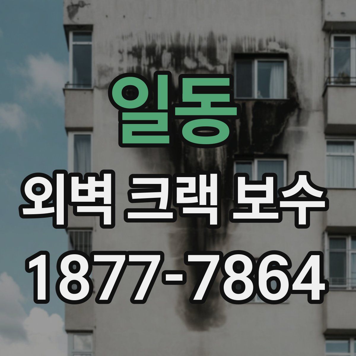 일동 외벽 크랙 보수