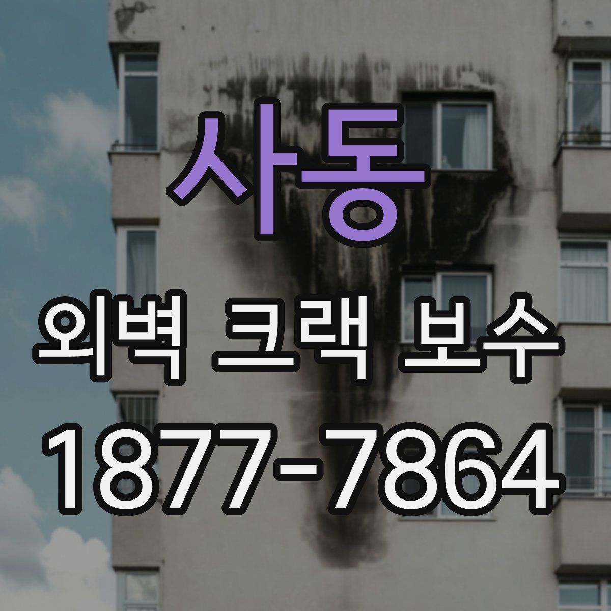 사동 외벽 크랙 보수