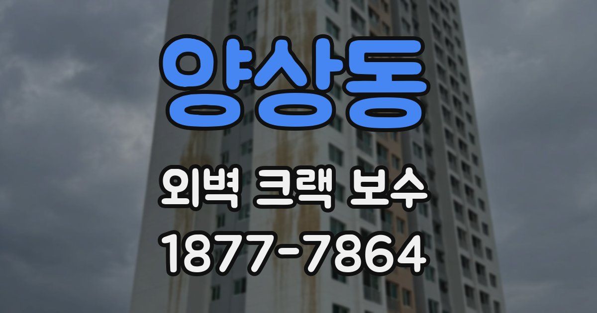 양상동 외벽 크랙 보수