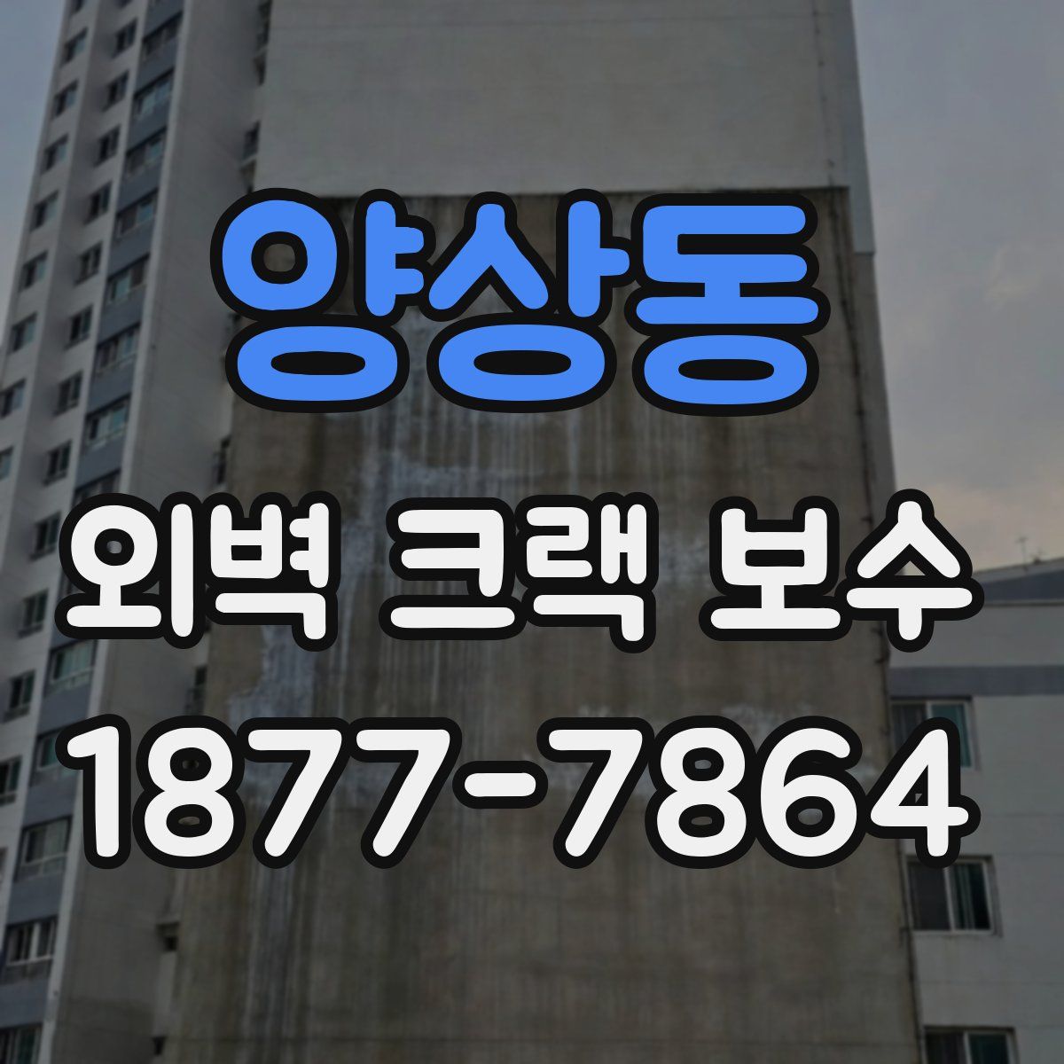 양상동 외벽 크랙 보수