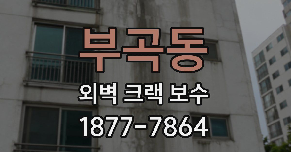 부곡동 외벽 크랙 보수