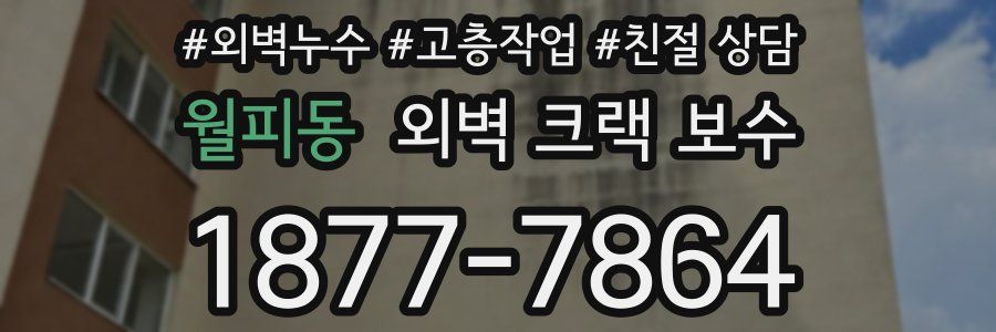 월피동 외벽 크랙 보수