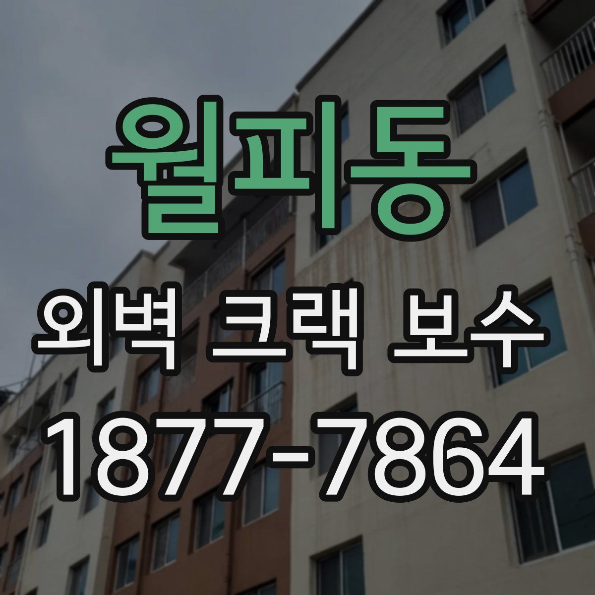 월피동 외벽 크랙 보수