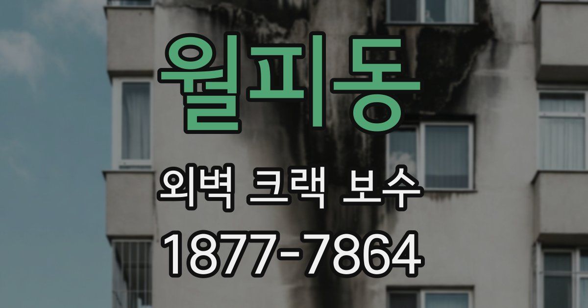 월피동 외벽 크랙 보수
