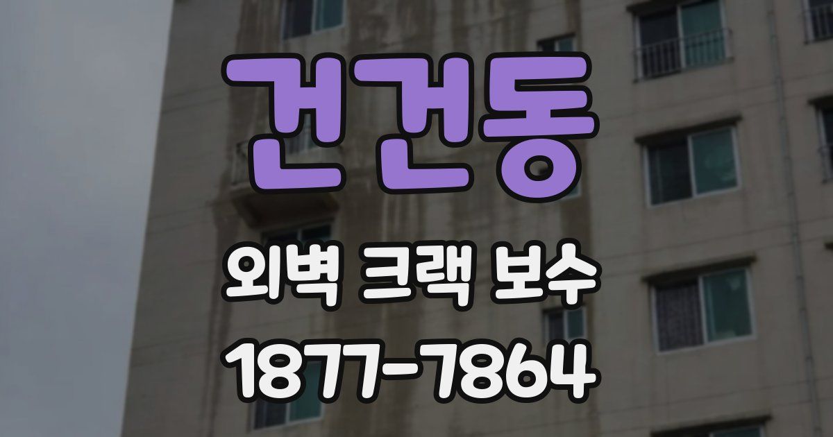건건동 외벽 크랙 보수