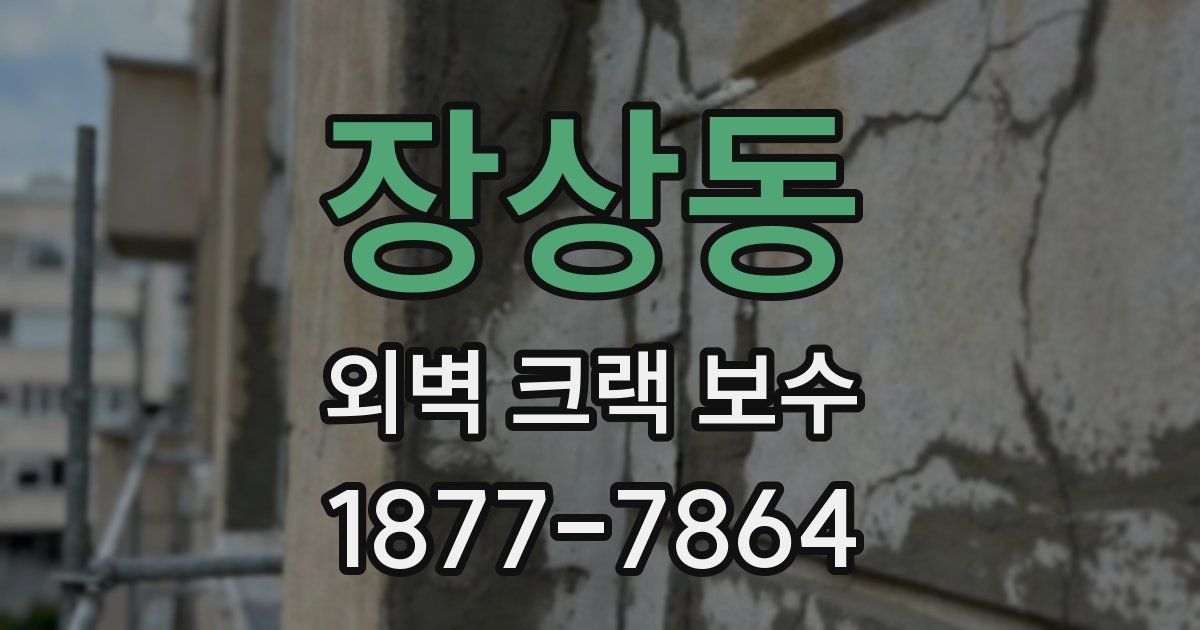 장상동 외벽 크랙 보수