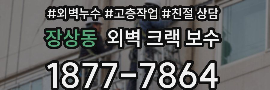 장상동 외벽 크랙 보수