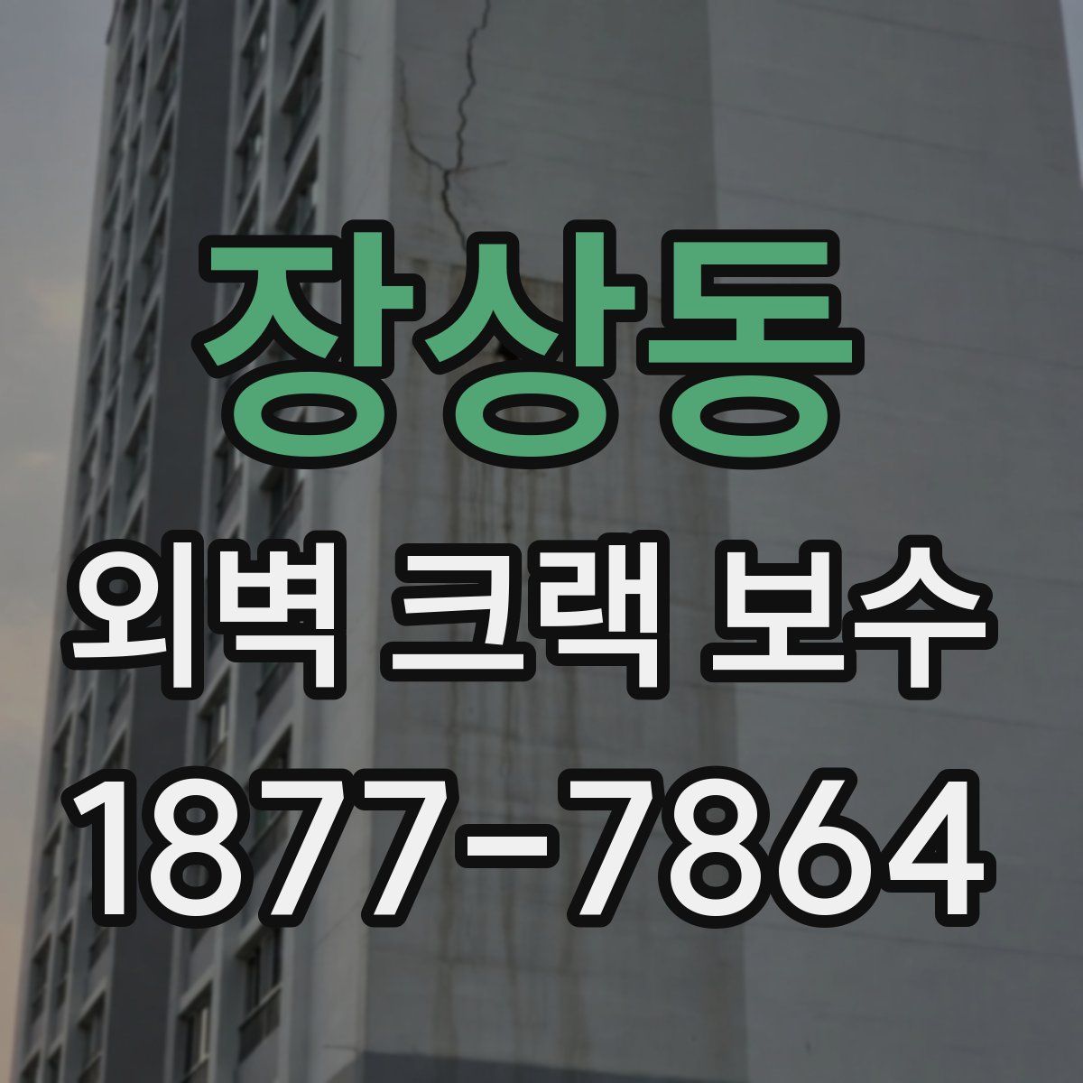 장상동 외벽 크랙 보수