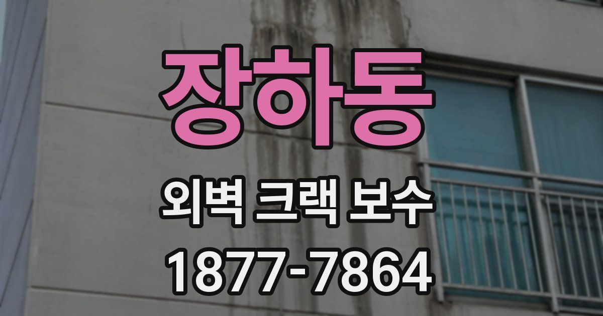 장하동 외벽 크랙 보수