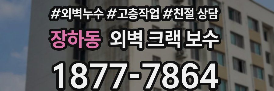 장하동 외벽 크랙 보수