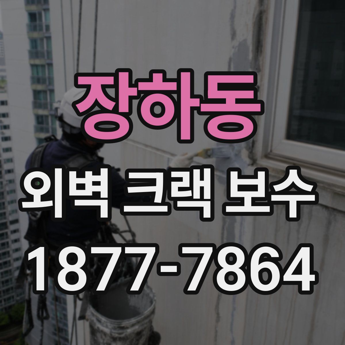 장하동 외벽 크랙 보수