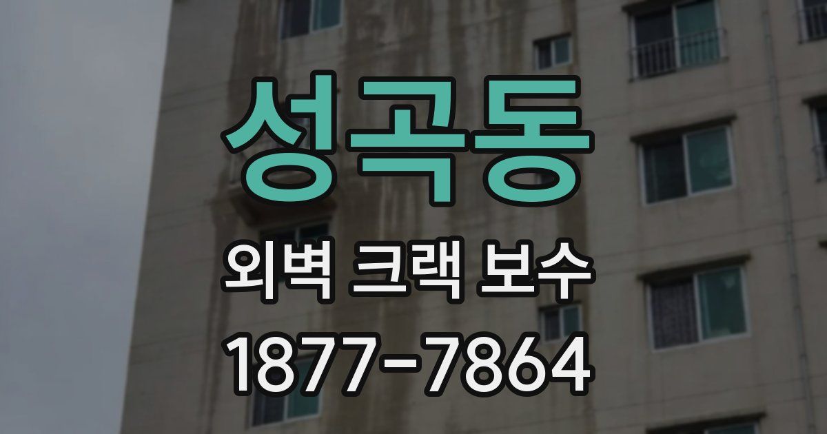 성곡동 외벽 크랙 보수