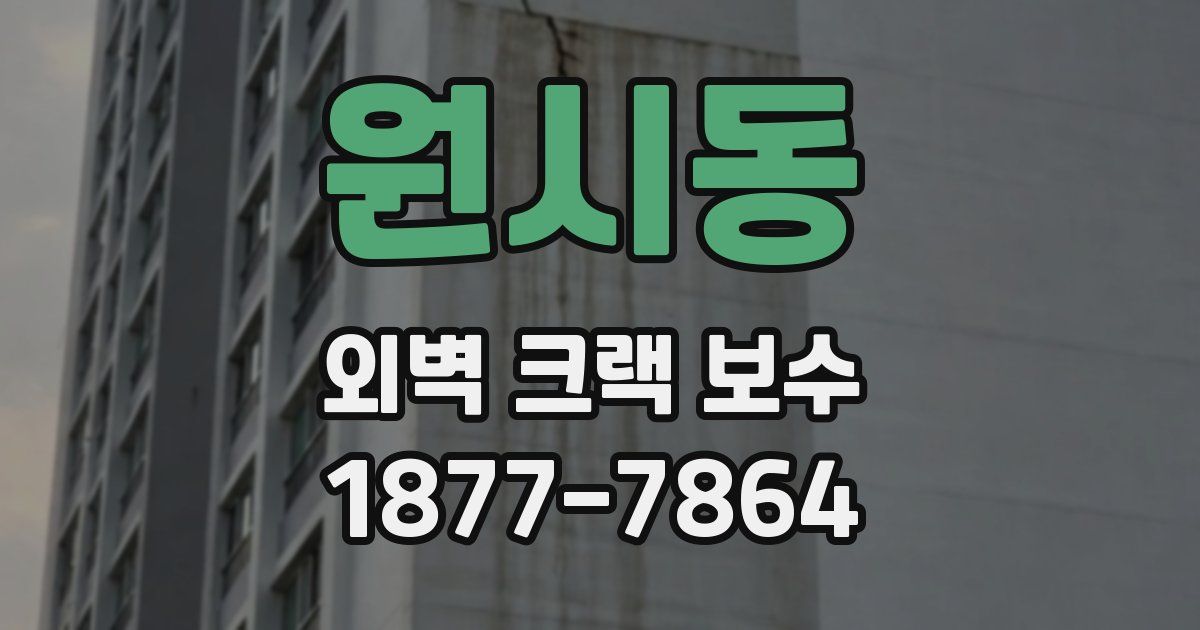 원시동 외벽 크랙 보수