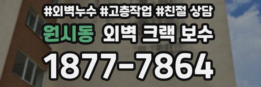 원시동 외벽 크랙 보수