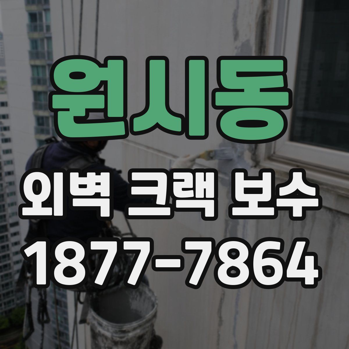 원시동 외벽 크랙 보수