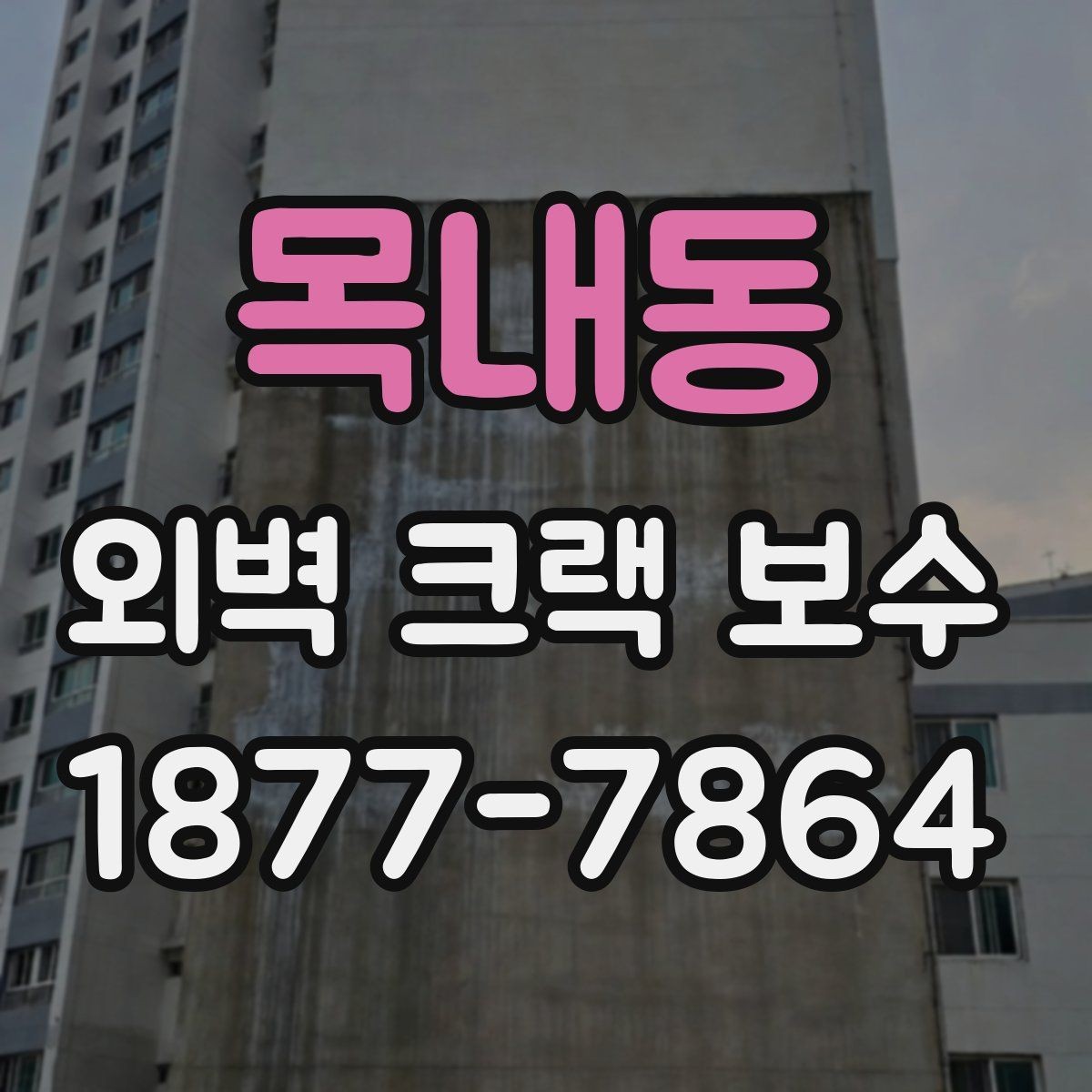 목내동 외벽 크랙 보수 후 건물 외관이 달라지는 과정