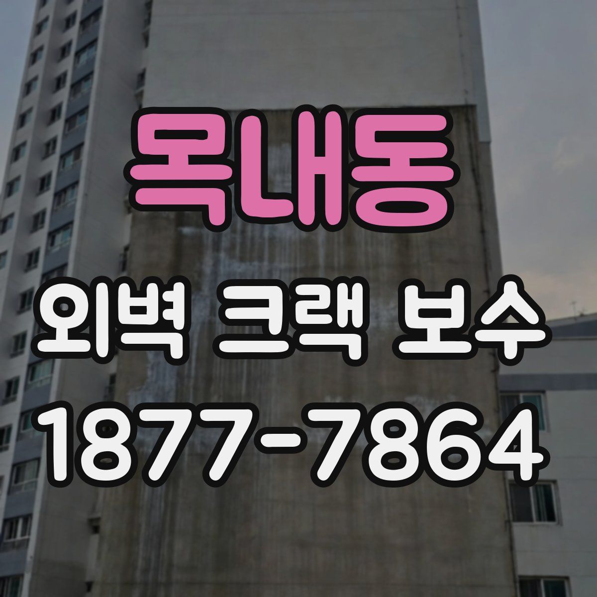 목내동 외벽 크랙 보수
