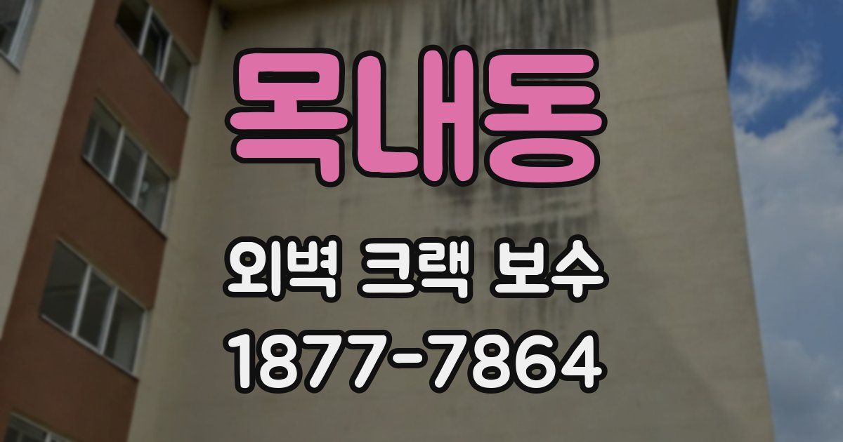 목내동 외벽 크랙 보수
