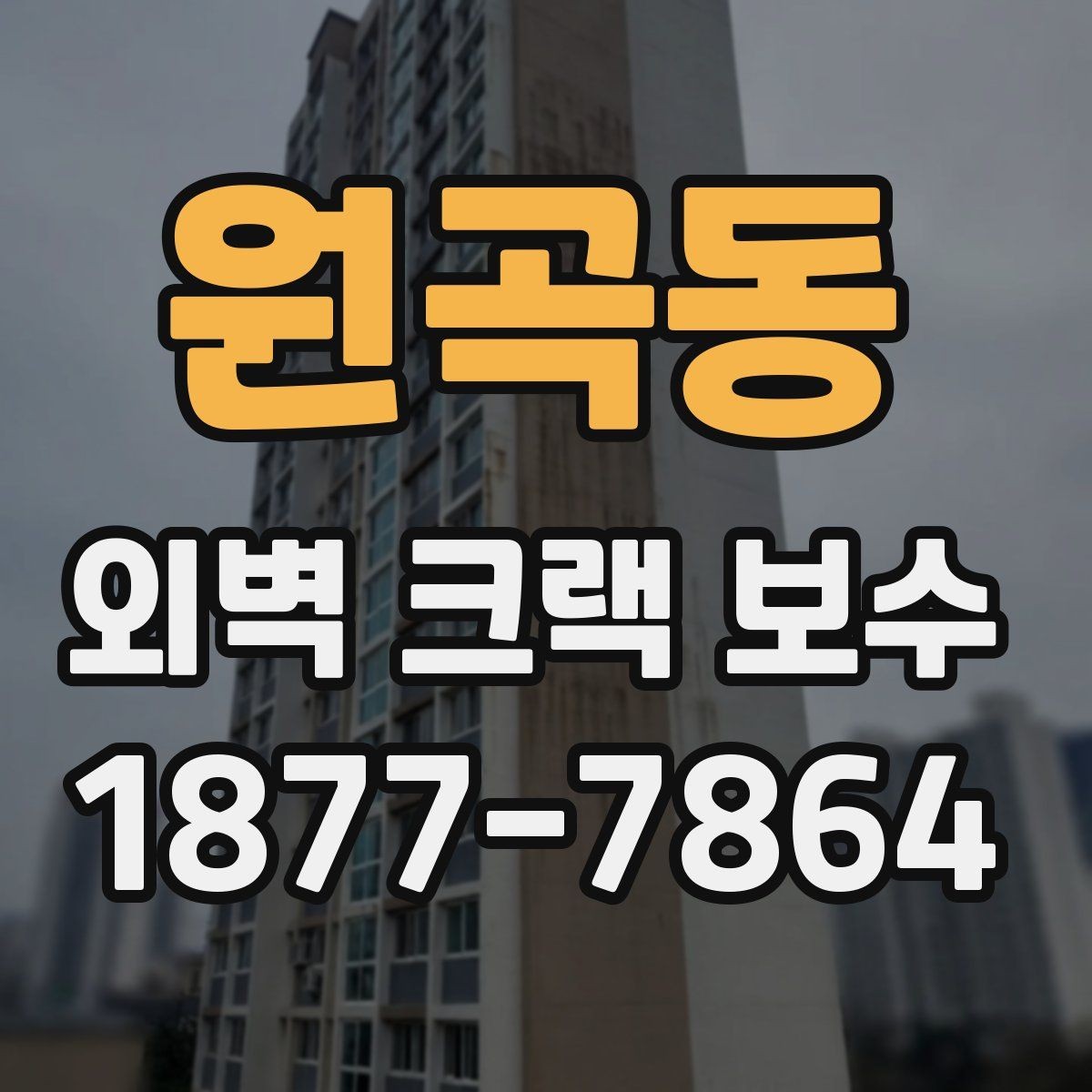 원곡동 외벽 크랙 보수 진행 전 사진으로 기록해야 할 부분