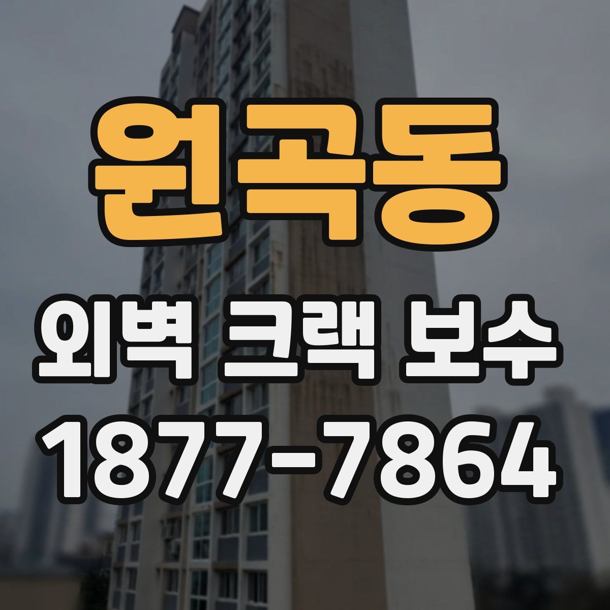 원곡동 외벽 크랙 보수