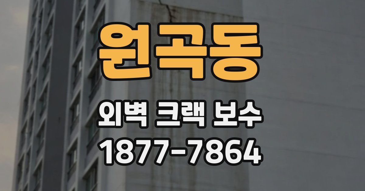 원곡동 외벽 크랙 보수