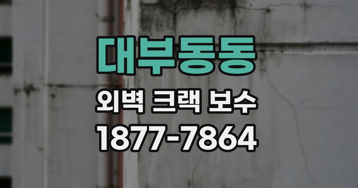 대부동동 외벽 크랙 보수