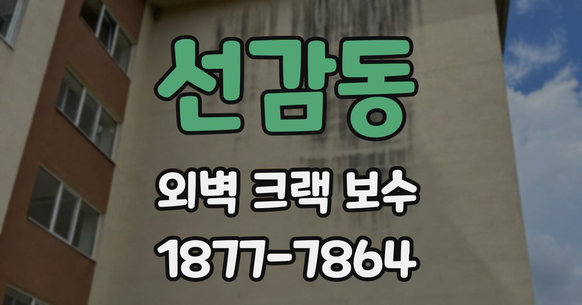 선감동 외벽 크랙 보수