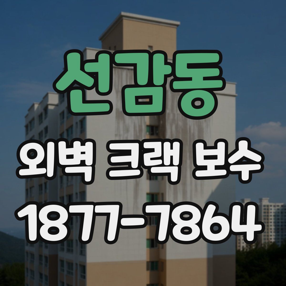 선감동 외벽 크랙 보수