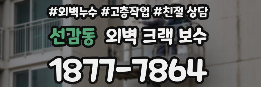 선감동 외벽 크랙 보수