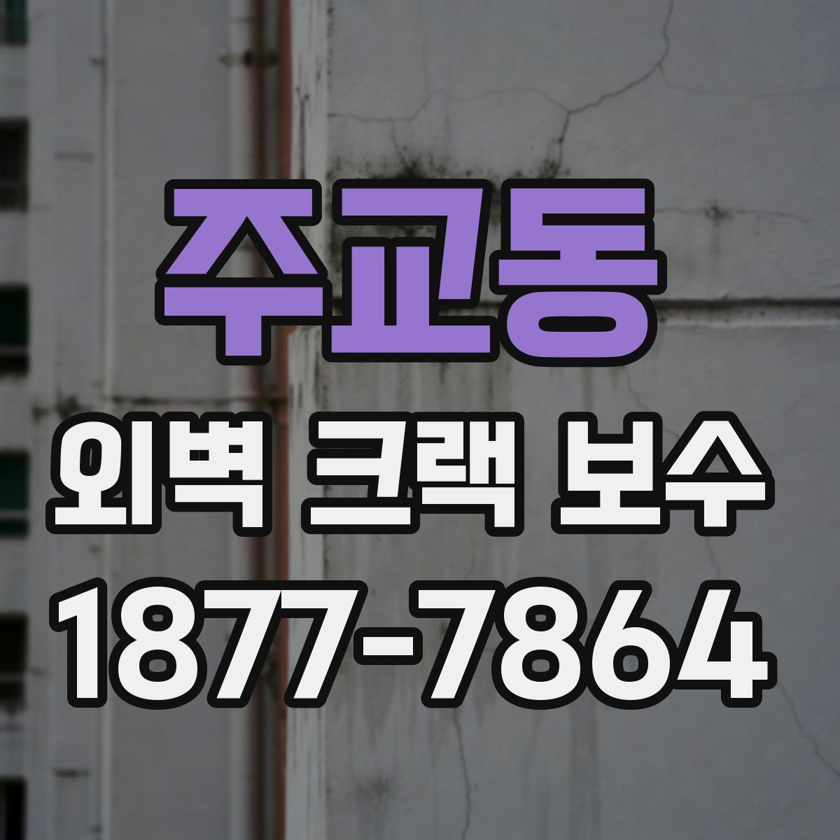 주교동 외벽 크랙 보수