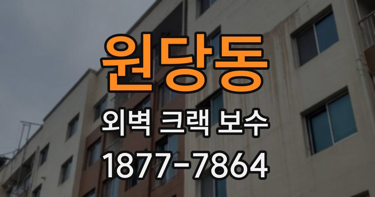 원당동 외벽 크랙 보수