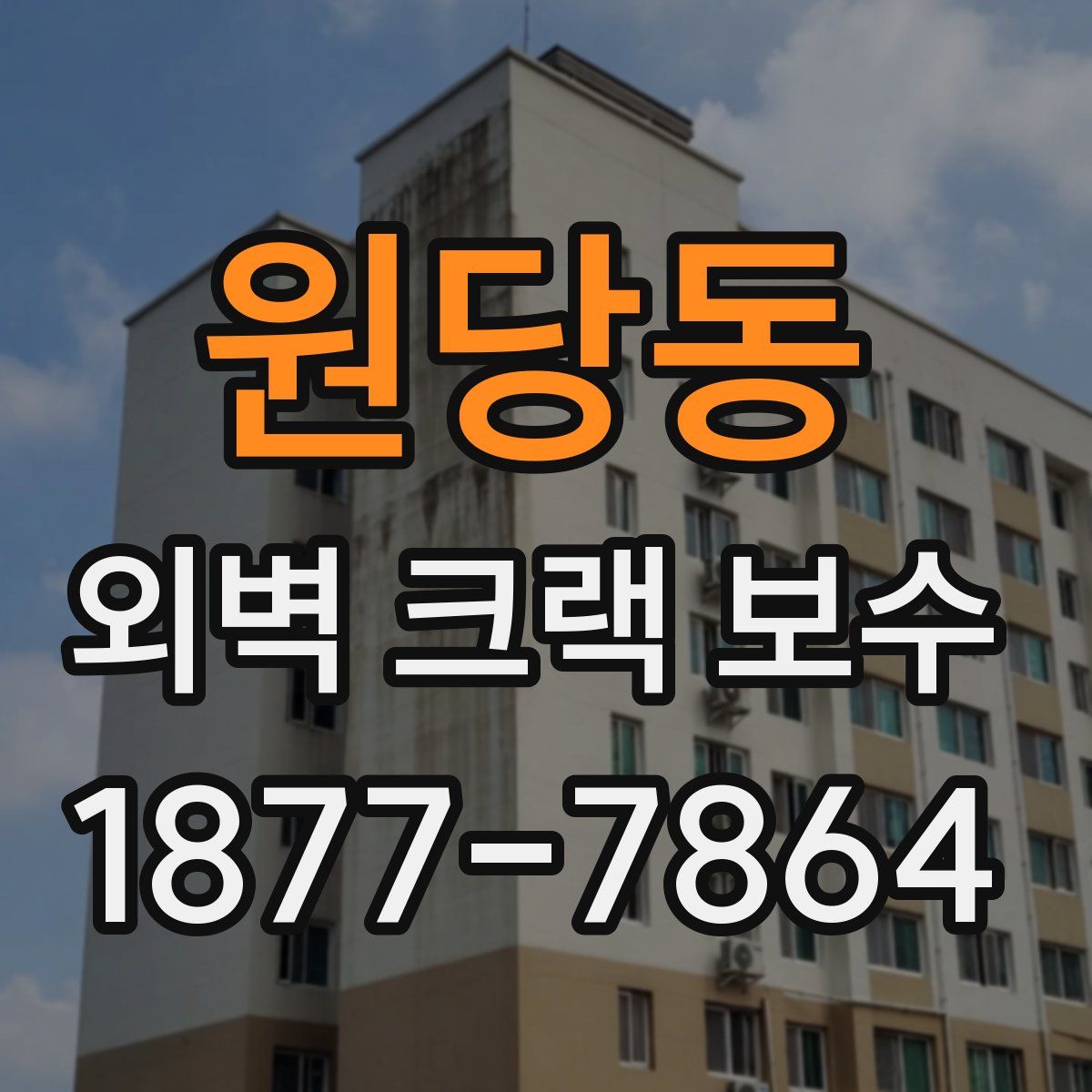 원당동 외벽 크랙 보수