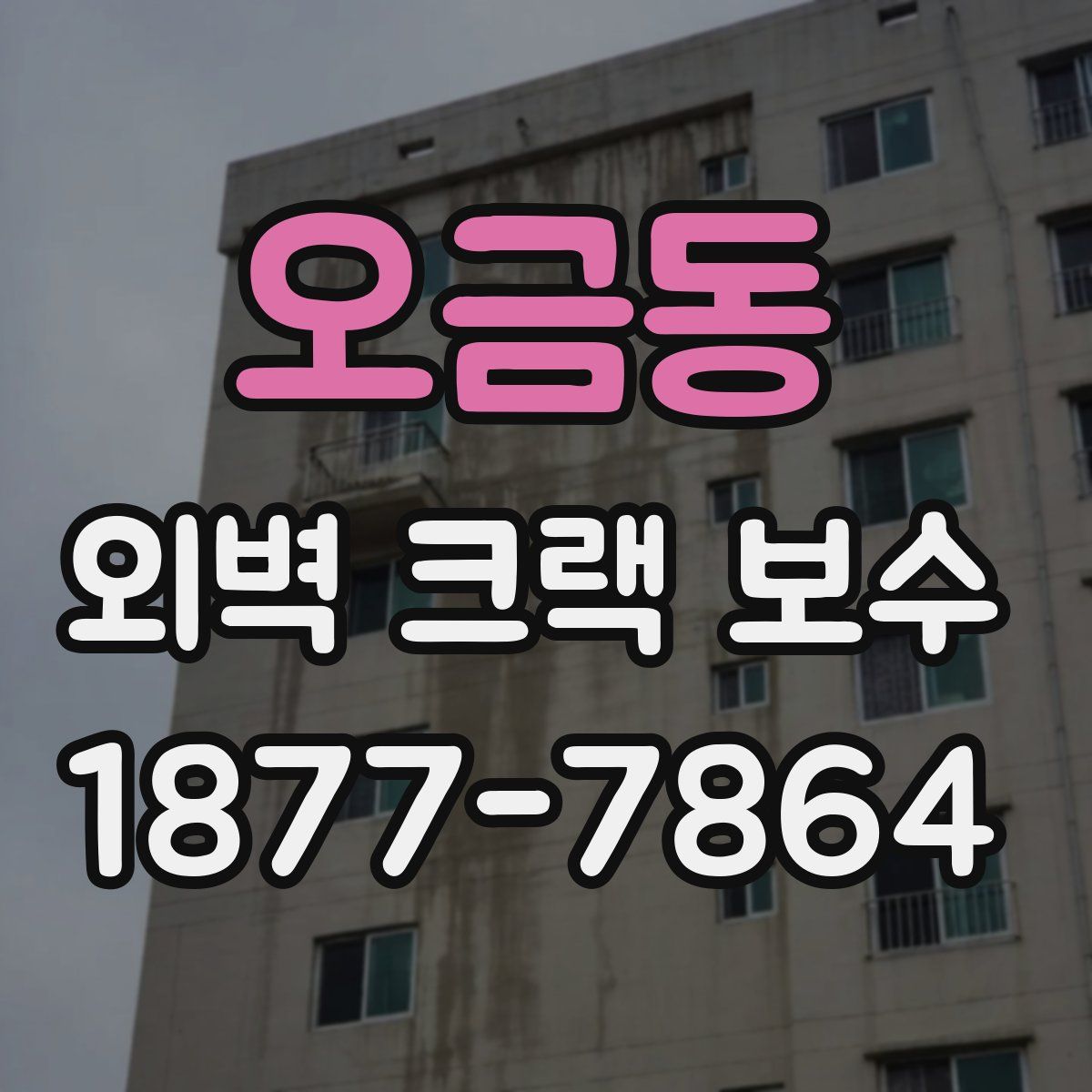 오금동 외벽 크랙 보수