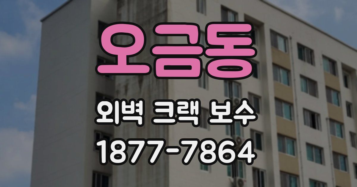 오금동 외벽 크랙 보수