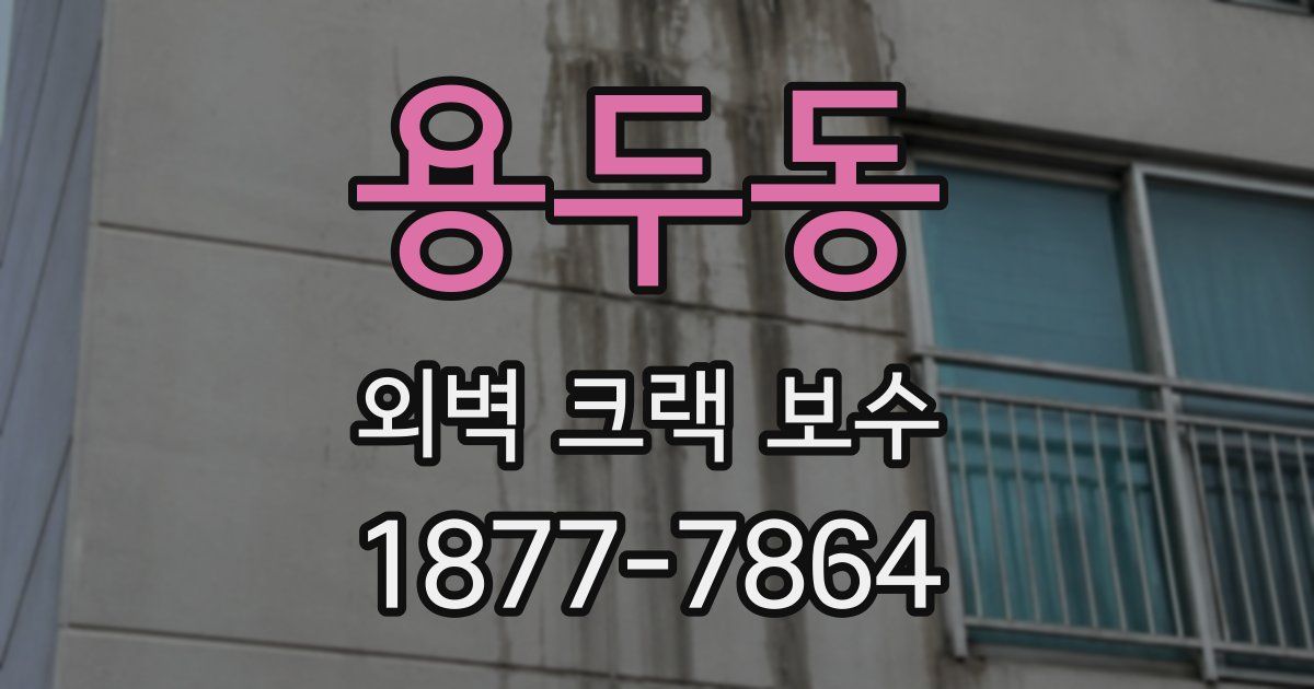 용두동 외벽 크랙 보수
