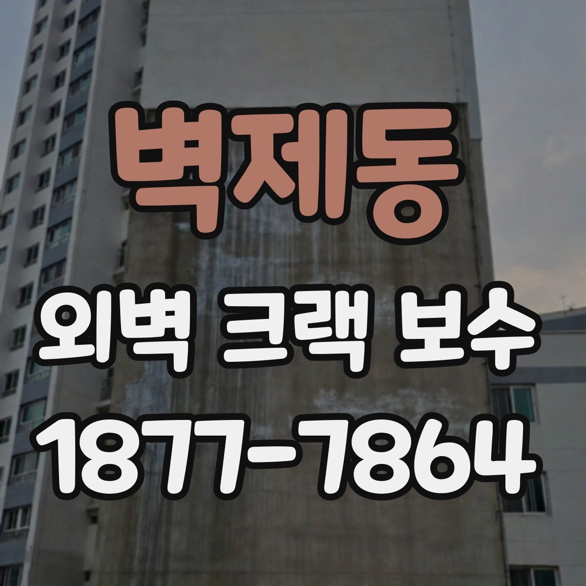 벽제동 외벽 크랙 보수