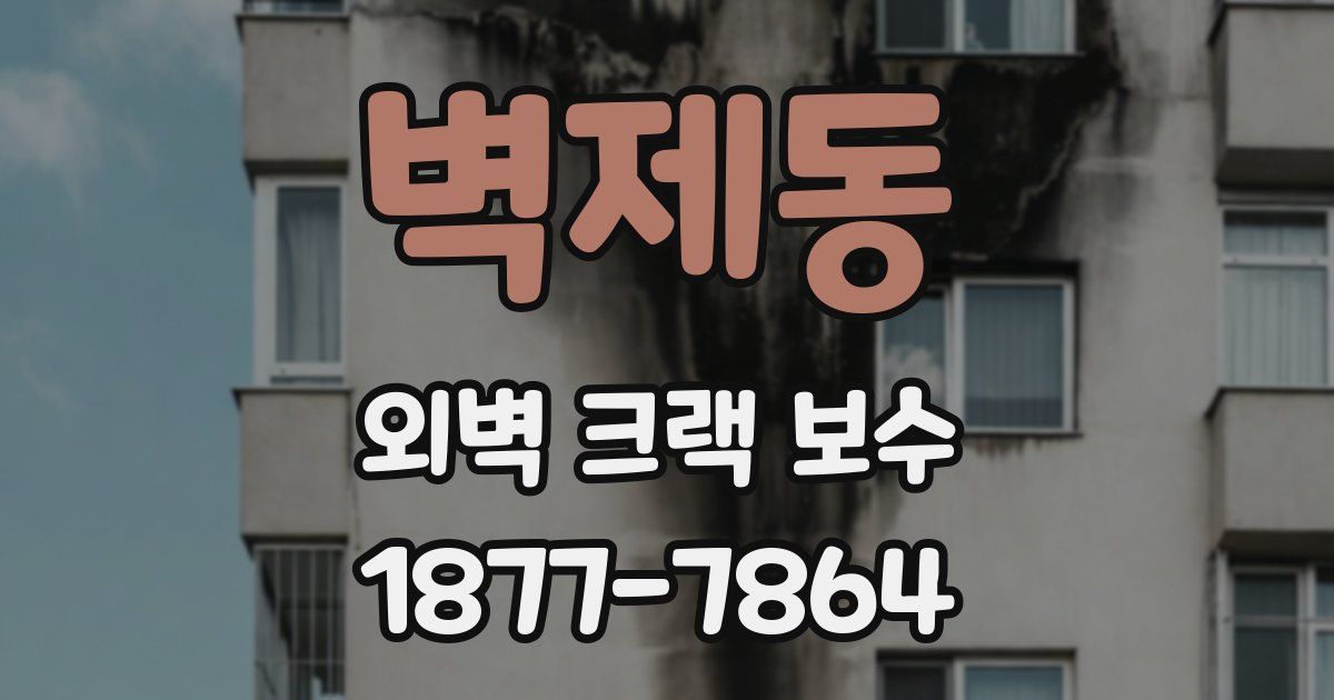 벽제동 외벽 크랙 보수
